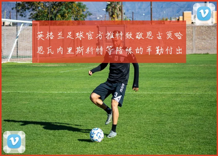 英格兰足球官方推特致敬恩古莫哈恩瓦内里斯科特等陪练的辛勤付出