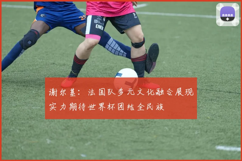 谢尔基：法国队多元文化融合展现实力期待世界杯团结全民族